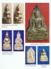 เจ้าสัวน้อยหลวงปู่บุญ วัดกลางบางแก้ว เนื้อขี้นกเขาเป้า